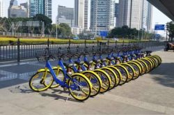 【教程经验】嘉峪关市工厂咨询热线_哔哩哔哩